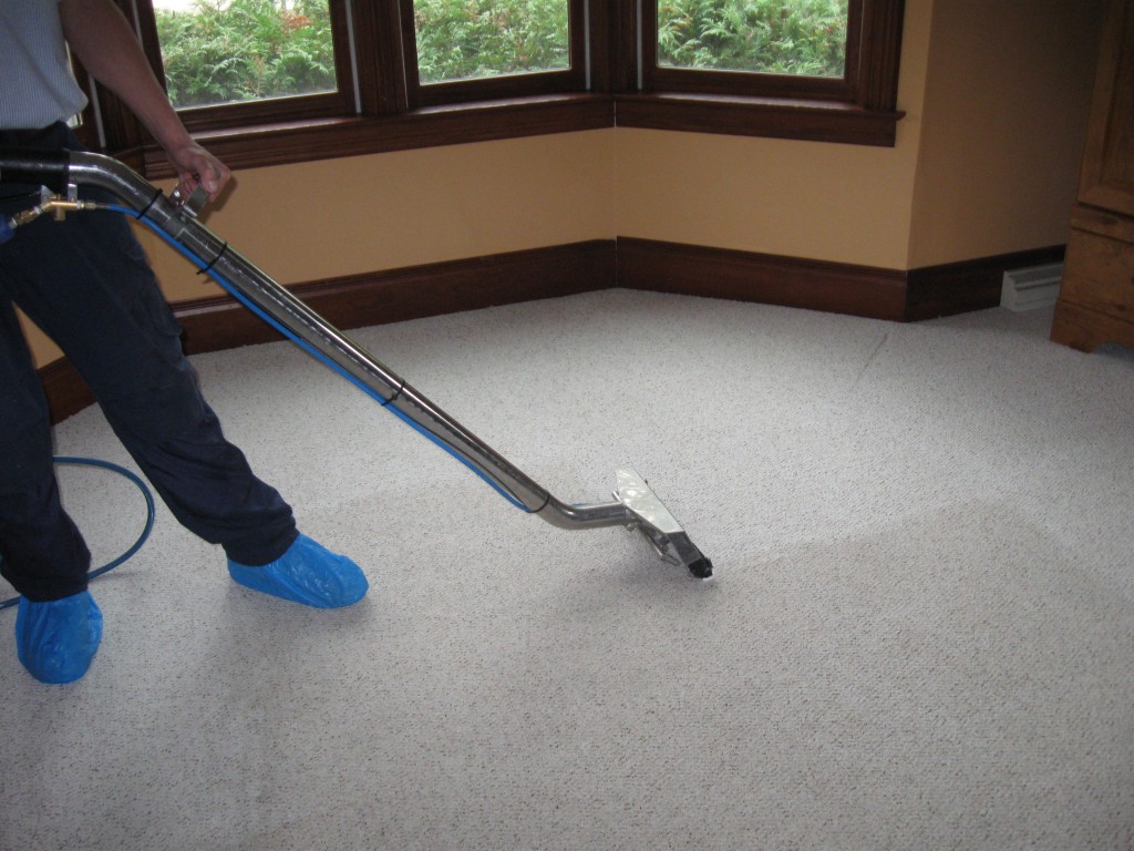 When a professional assists in carpet cleaning