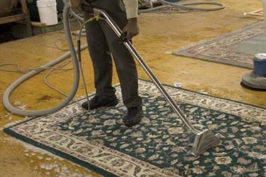 Oriental Area Rug